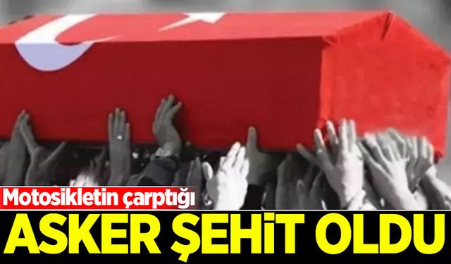 Ordu'da kontrol noktasında motosikletin çarptığı jandarma personeli şehit oldu