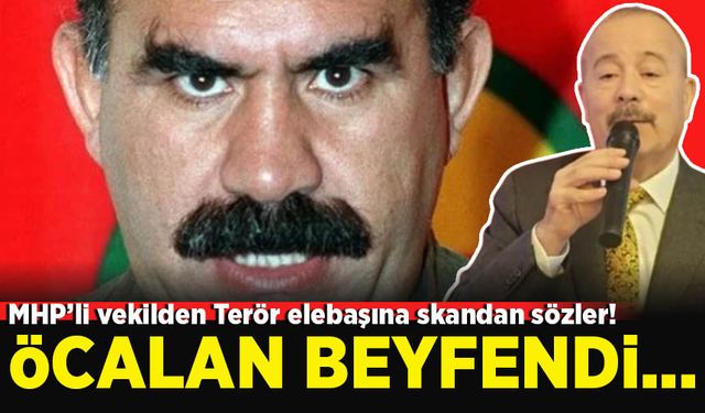 MHP Milletvekili Mehmet Taytak, Abdullah Öcalan'a 'beyefendi' dedi