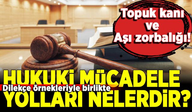 Topuk kanı baskısı hakkında dilekçe örnekleri