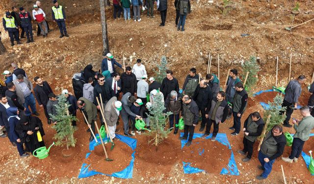 Kahramanmaraş'ta 4 bin fidan dikildi