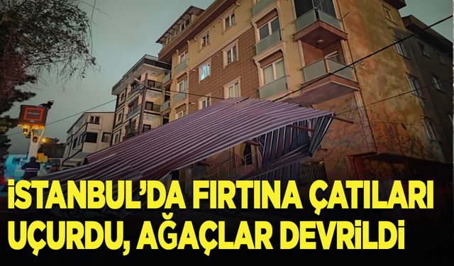 İstanbul'da fırtına çatıları uçurdu, ağaçlar devrildi
