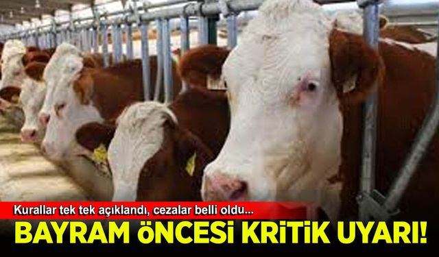Kurban Bayramı öncesi kritik karar! Kurallar tek tek açıklandı, cezalar belli oldu
