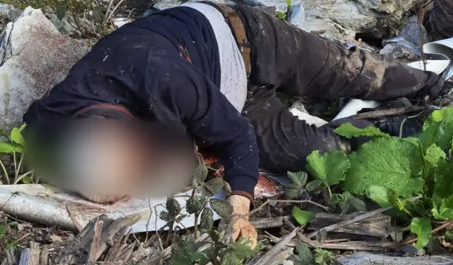 Düzce'de vahşet: Kimliği belirsiz erkek cesedi bulundu