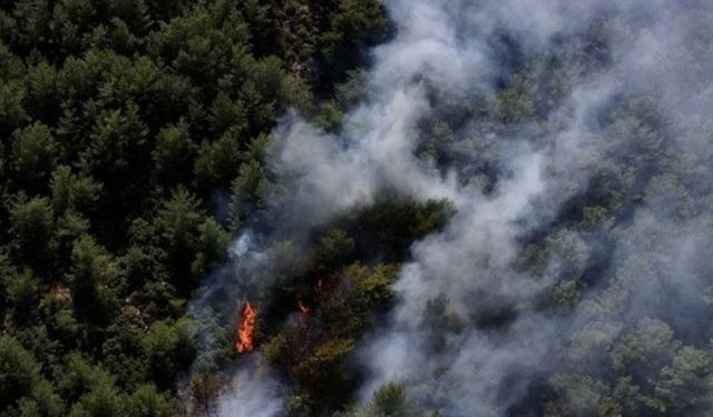 Muğla'nın Fethiye ilçesinde orman yangını