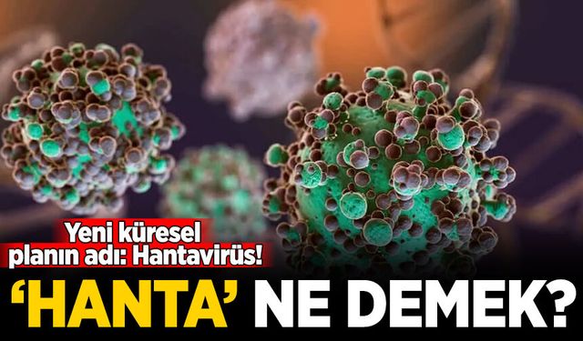 Yeni küresel planın adı: Hantavirüs! Hanta ne demek?