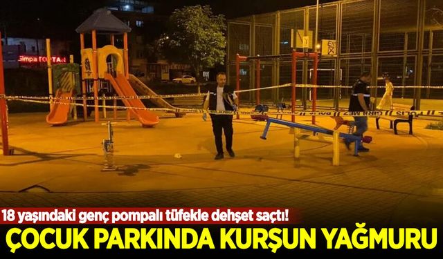Bursa'da 18 yaşındaki genç çocuk parkına pompalı tüfekle ateş açtı: 10 yaralı