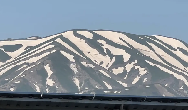 Gören bir daha baktı! Yüksekova’da dağlar zebra deseniyle kaplandı