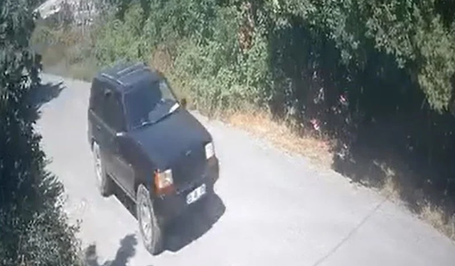 İstanbul'da piknik ateşi çayırlık alanı yaktı: Şüphelilerin kaçış anları görüntülendi