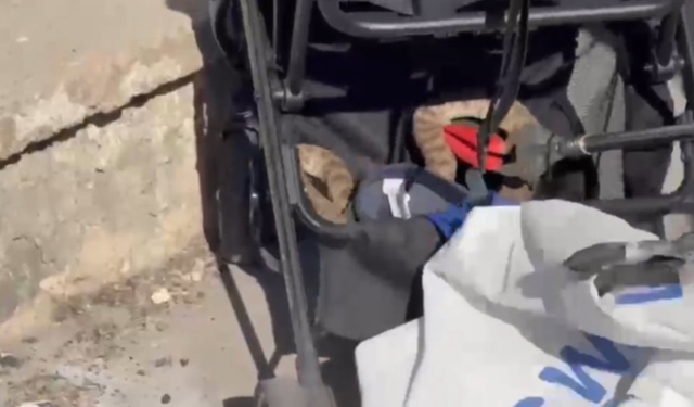 Şanlıurfa'da bebek arabasına ağaçtan yılan düştü