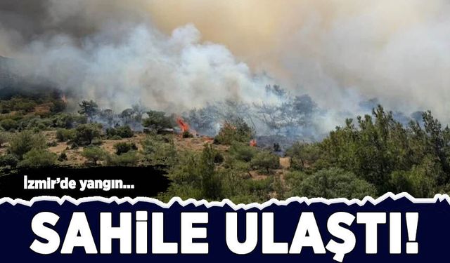 İzmir'de makilik alanda yangın çıktı, sahile kadar ulaştı
