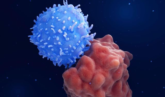 Kansere karşı dünyada bir ilk: Yeni mRNA aşısı geliştirildi