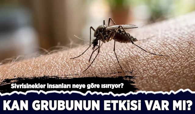 Sivrisinekler insanları neye göre ısırıyor? Kan grubunun etkisi var mı?