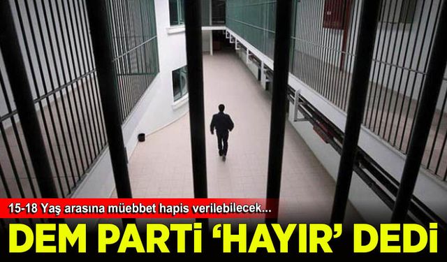 DEM Milletvekili Beritan Güneş, suç işleyen çocukların yargılanmasına karşı çıktı