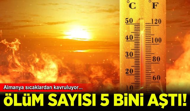 Almanya'da aşırı sıcakların bilançosu ağırlaştı: 5 bini aşkın ölüm