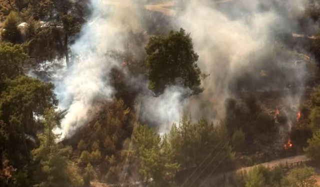 Antalya'da ormanlık alanda yangın çıktı