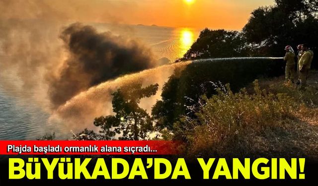 İstanbul Büyükada'daki bir plajda yangın
