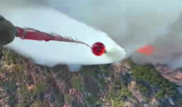 Muğla'da orman yangını
