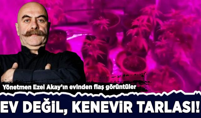 Yönetmen Ezel Akay'ın evinden şok görüntüler: Ev değil, kenevir tarlası!