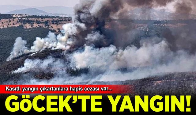 Göcek'teki orman yangınında ihmal iddiası