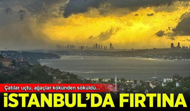 İstanbul'da fırtına: Çatılar uçtu, ağaçlar devrildi