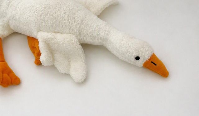 Bakanlık duyurdu: Peluş kaz oyuncağı piyasadan toplatılıyor