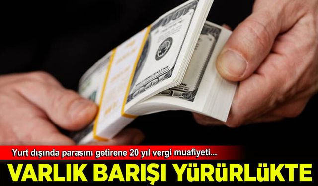 Maliye, varlık barışı uygulamasının detaylarını paylaştı