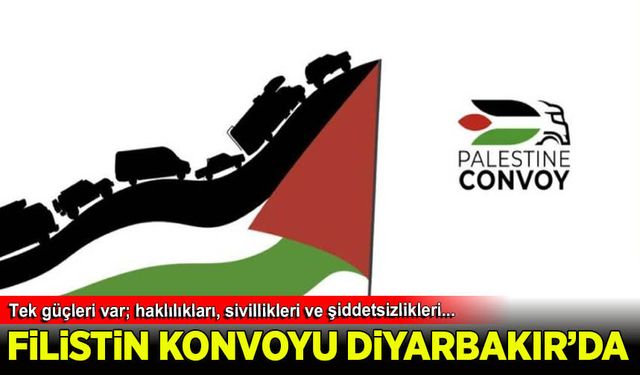 Filistin Konvoyu Diyarbakır'da