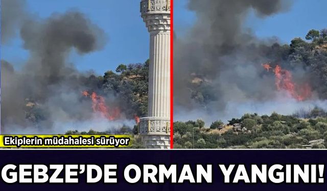 Gebze’de korkutan orman yangını! Çok sayıda itfaiye ekibi sevk edildi