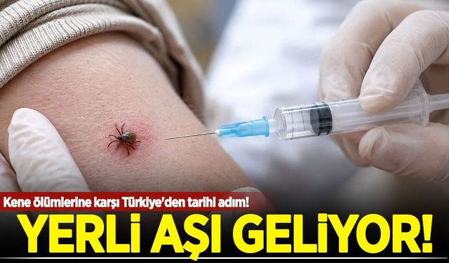 Kene ölümlerine karşı Türkiye'den tarihi adım! Yerli aşı geliyor