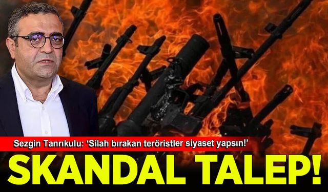 Sezgin Tanrıkulu silah bırakan teröristler için 'siyaset yapma güvencesi' istedi