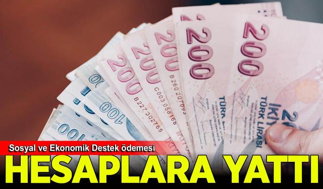 Ağustos ayı Sosyal ve Ekonomik Destek ödemeleri hesaplara yatırıldı