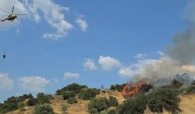 Manisa'nın Soma ilçesinde orman yangını çıktı