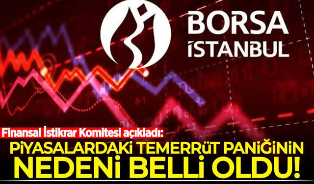 Finansal İstikrar Komitesi açıkladı: Piyasalardaki temerrüt paniğinin nedeni belli oldu!