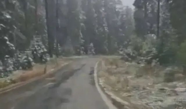 Kastamonu'nun yüksek kesimlerine kar yağdı