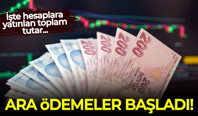 Fon tasfiyesinde ara ödeme başladı! İşte hesaplara yatırılan toplam tutar