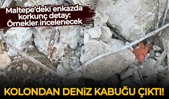 Maltepe’deki enkazda korkunç detay: Kolondan deniz kabuğu çıktı!