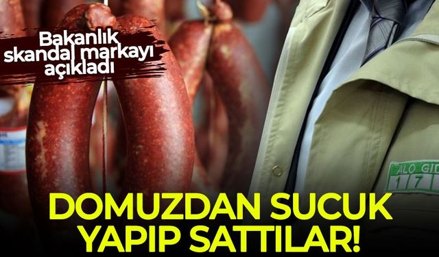 Domuzdan sucuk yapıp sattılar! Bakanlık skandal markayı açıkladı