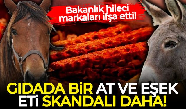 Bakanlık hileci markaları ifşa etti: Gıdada bir at ve eşek eti skandalı daha