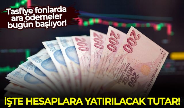 Tasfiye fonlarda ara ödemeler bugün başlıyor: İşte hesaplara yatırılacak tutar