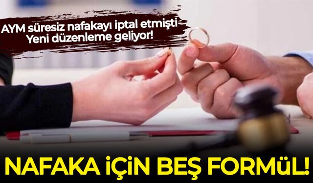 AYM süresiz nafakayı iptal etmişti: Yeni düzenleme geliyor! Nafaka için beş formül...