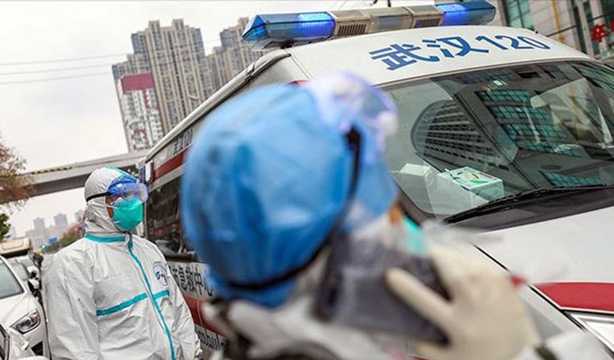Çin'de  35 kişide LayV virüsü görüldü