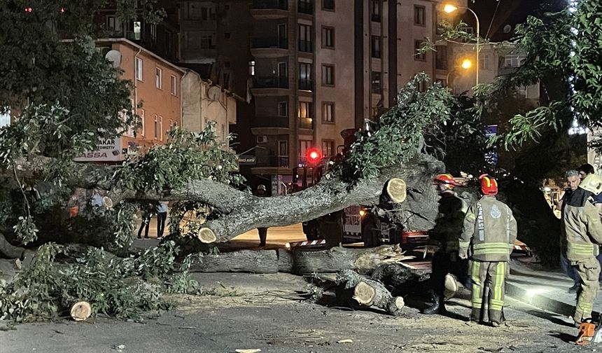 Sancaktepe'de metro inşaatına ağaç devrildi
