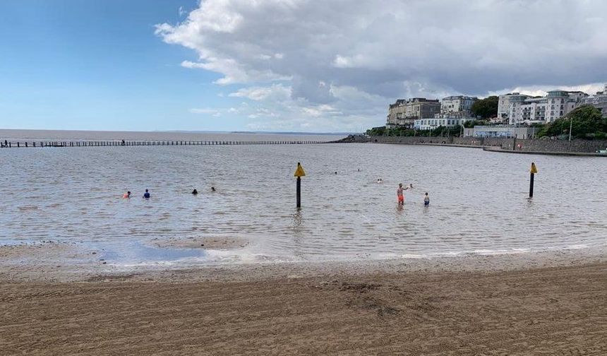 İngiltere'de göle girenlere "deniz biti" uyarısı
