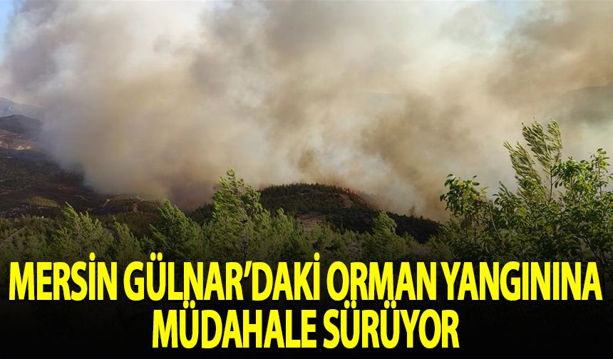 Mersin Gülnar'daki orman yangınına müdahale sürüyor