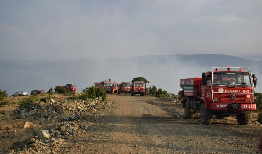 Eskişehir'de çıkan orman yangını kontrol altına alındı
