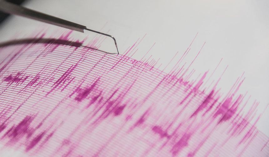 Japonya'da Ogasawara Adaları açıklarında 6,9 büyüklüğünde deprem
