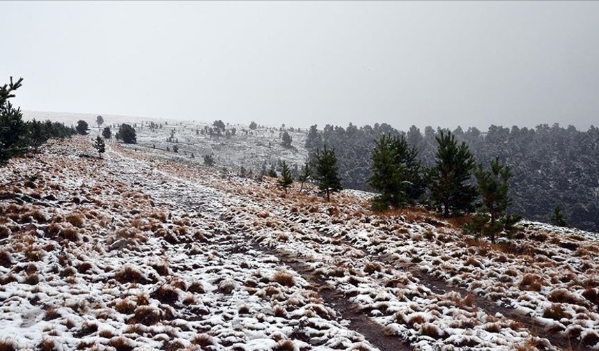 Ağrı ve Kars'ın yüksek kesimlerinde kar, Erzurum'da sis etkili oldu