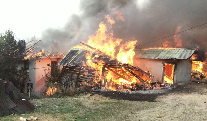 Kastamonu'da korkutan yangın: 10 köy evi etkilendi