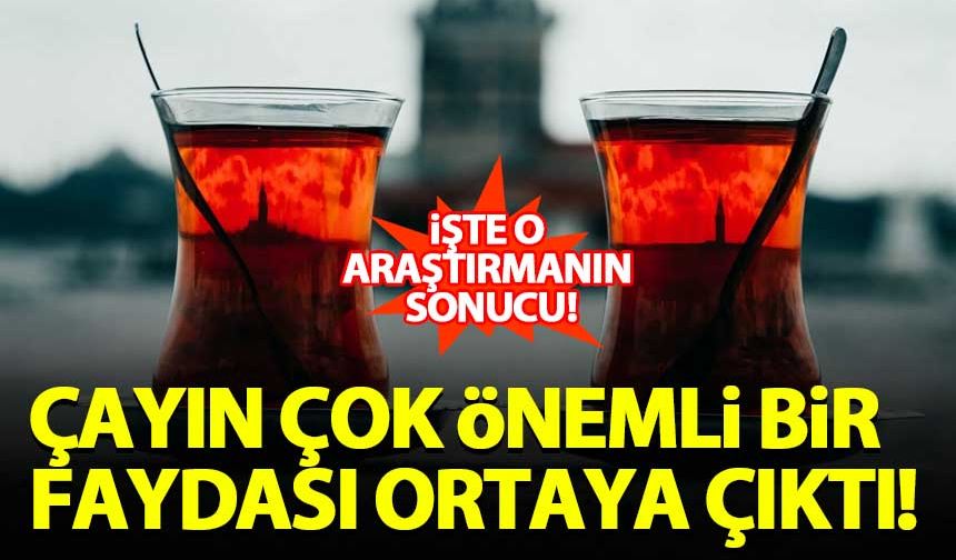 Çayın çok önemli bir faydası ortaya çıktı!