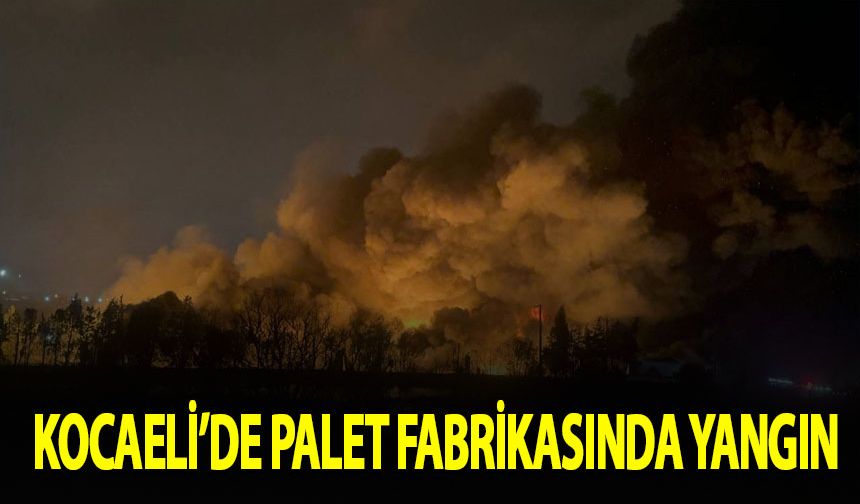 Kocaeli’de palet fabrikasında yangın